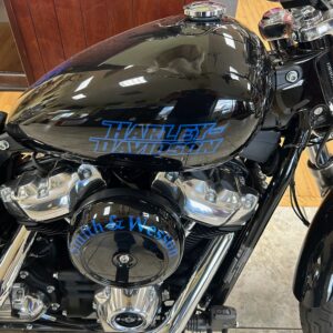 2023 Harley Davidson Soft Tail S&W Custom! One Of A Kind!!