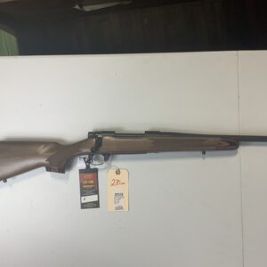 Howa M1500 (270 win)
