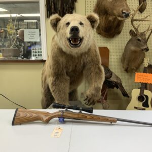 Ruger All Weather 77/22