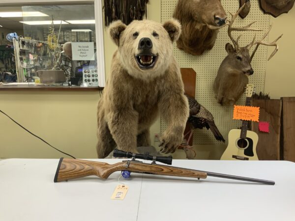Ruger All Weather 77/22