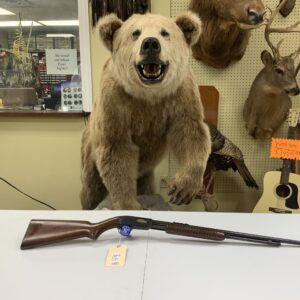 Winchester 61 22Lr