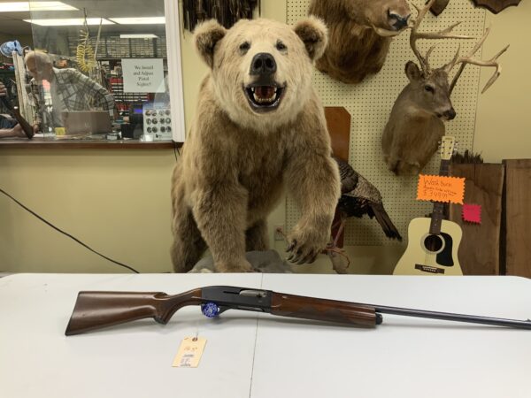Remington sportsman 48