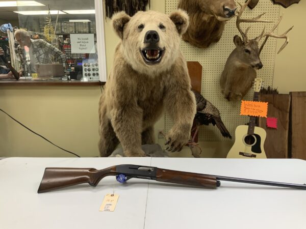 Remington sportsman 48