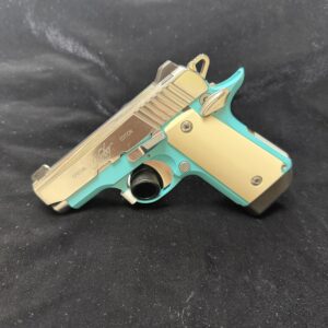 Kimber Micro 380